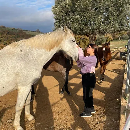 Tenuta Campospillo Vakantieboerderij *