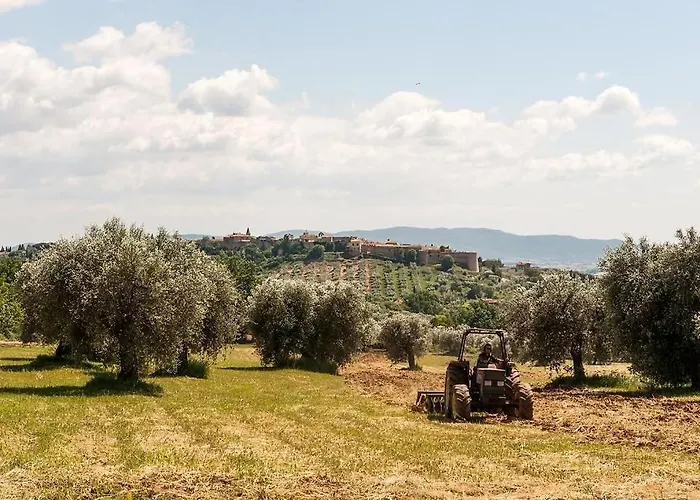 Tenuta Campospillo * Magliano in Toscana